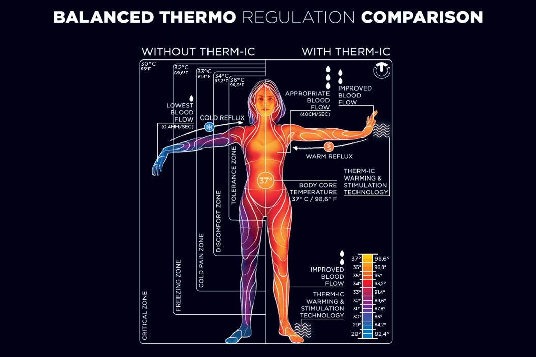 What Is Thermoregulation? - Therm-ic